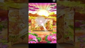 戦国炎舞　SSR確定レジェンドガチャ