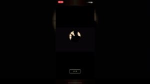 『戦国炎舞』決闘 協闘 攻撃 アニメーション 【宵間】 よいやみ